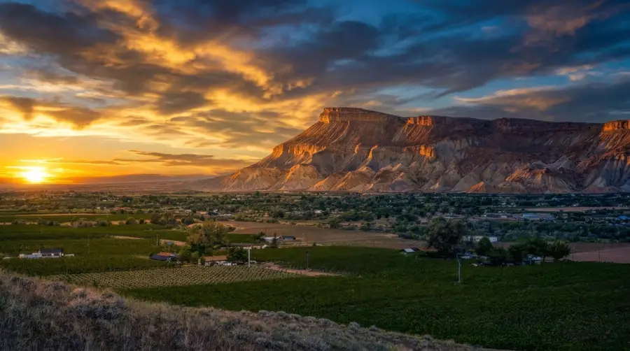 3750 Horse Mountain Road, Palisade, CO 81526 - #2