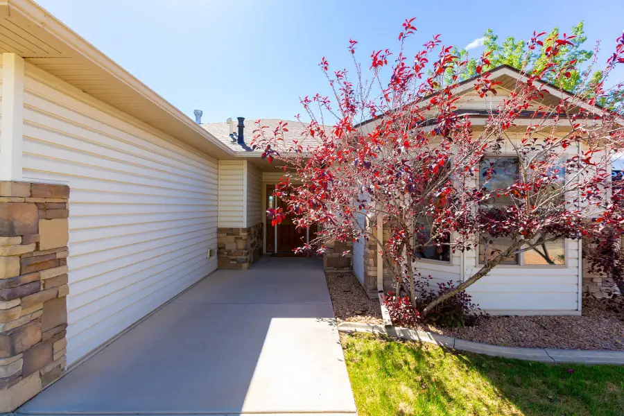 103 Red Rocks Street, Fruita, CO 80521 - #3