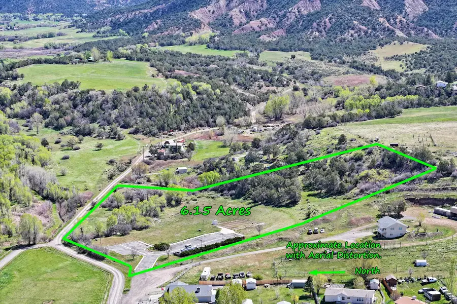 1006 Spring Street, Collbran, CO 81624 - #2