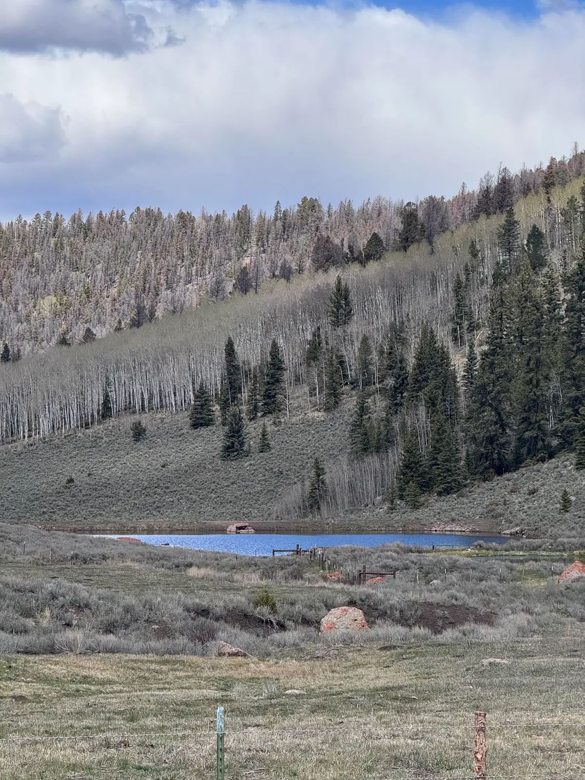 TBD Cardwell Draw Road, Powderhorn, CO 81243 - #1