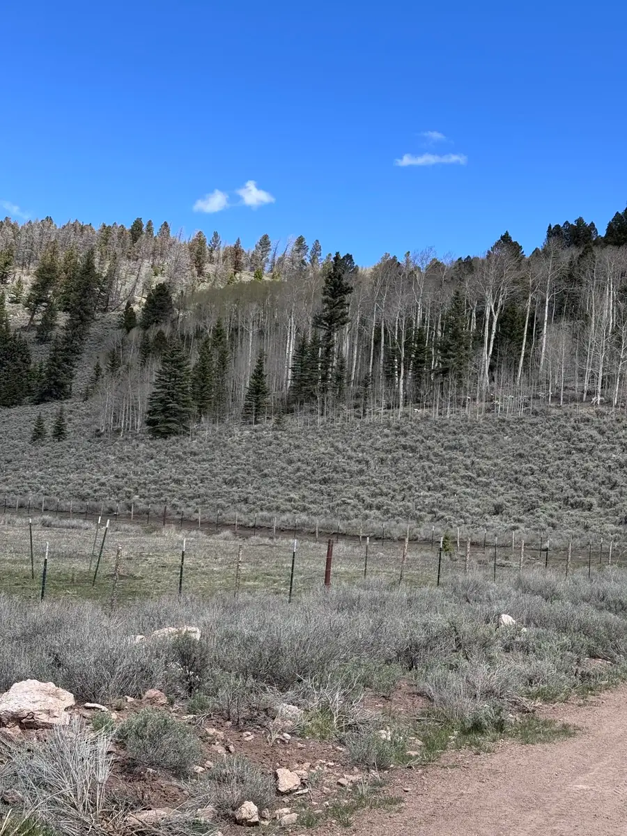 TBD Cardwell Draw Road, Powderhorn, CO 81243 - #2