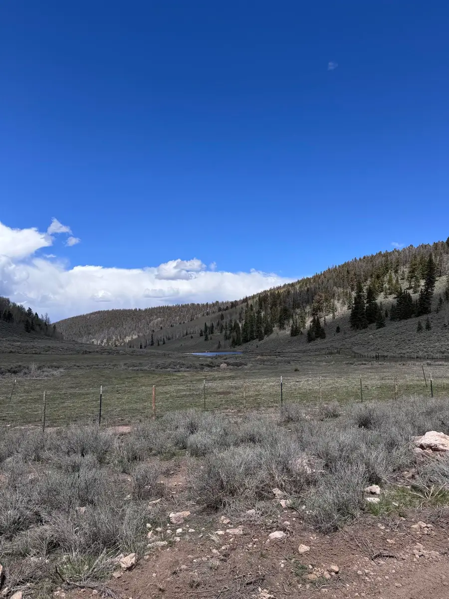 TBD Cardwell Draw Road, Powderhorn, CO 81243 - #3