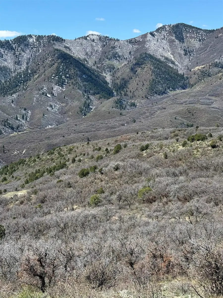 00 South Fork R Road, Rifle, CO 81650 - #2