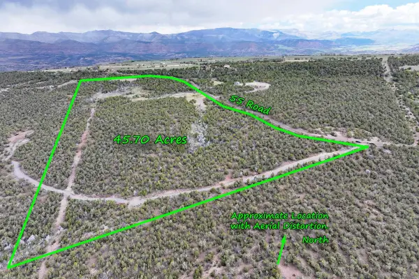 12705 55 Road, Collbran, CO 81624