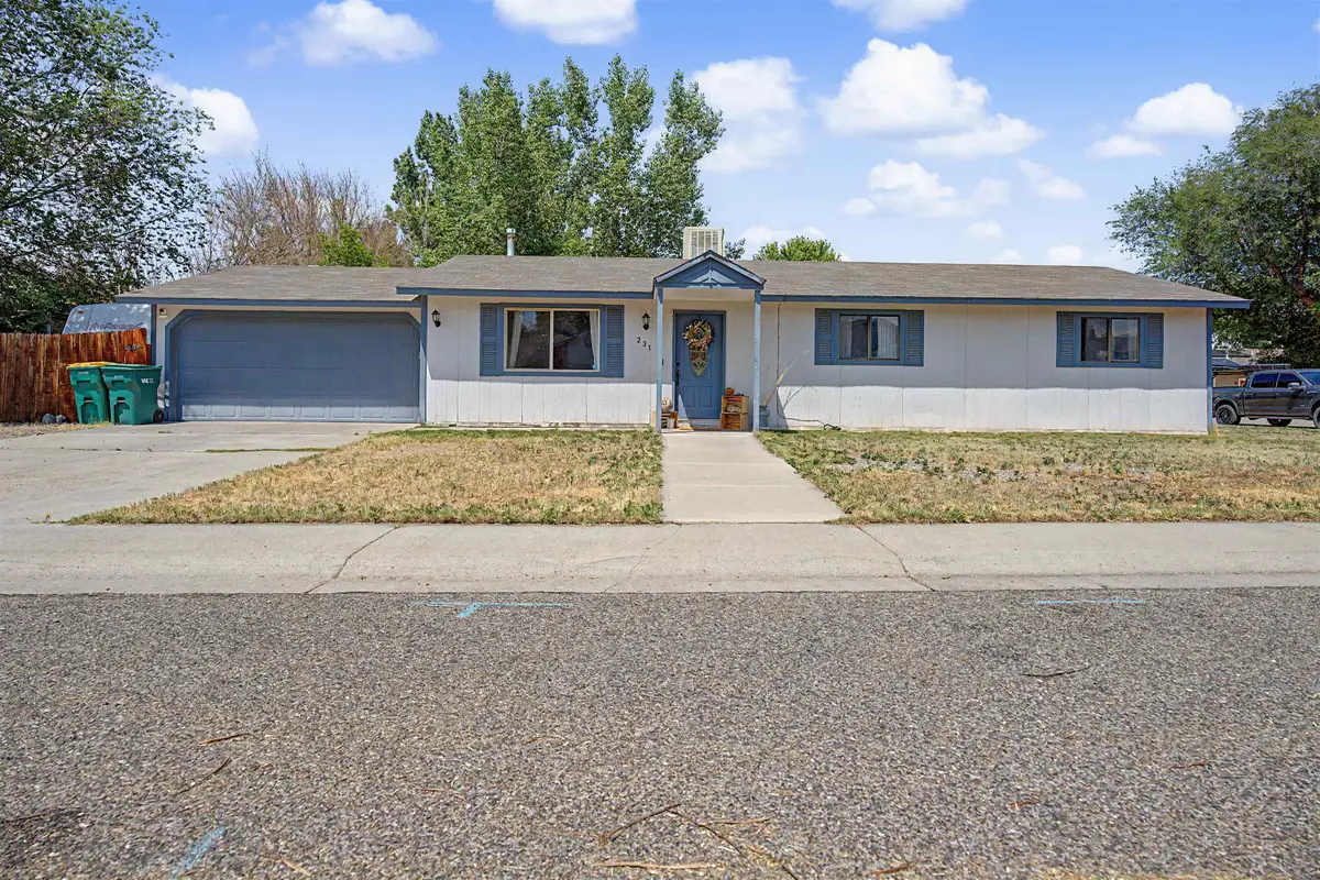 231 W Roberson Drive, Fruita, CO 81521 - #1