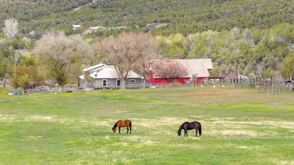 11260 54 7/10 Road, Molina, CO 81645