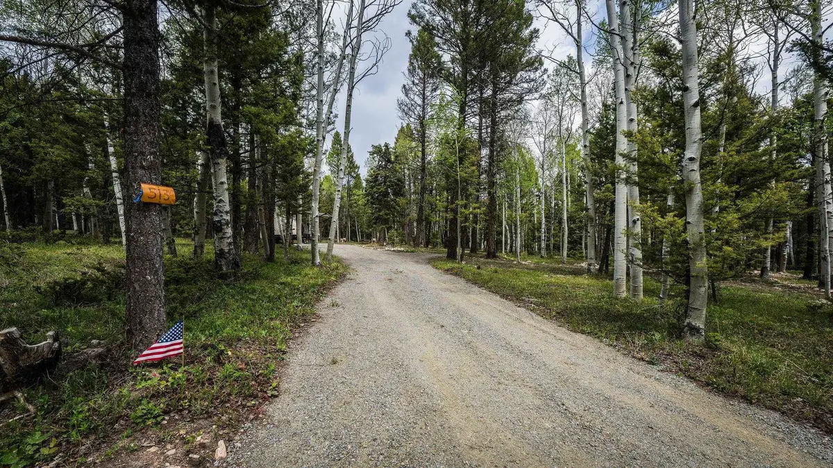 513 Crest Drive, Cimarron, CO 81220 - #1