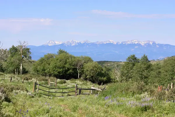 12951 Ms Road, Glade Park, CO 81522