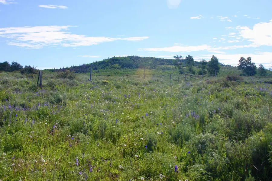 12951 Ms Road, Glade Park Gateway, CO 81522 - #3