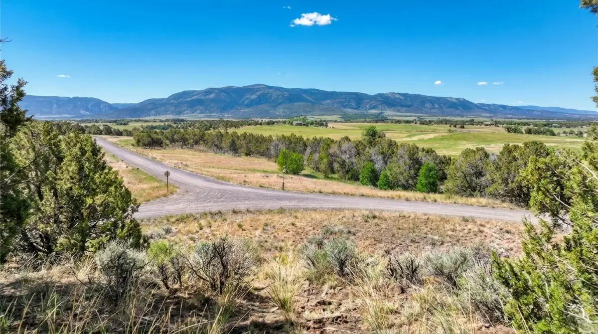 14401 Apache Lane, Collbran, CO 81624 - #1