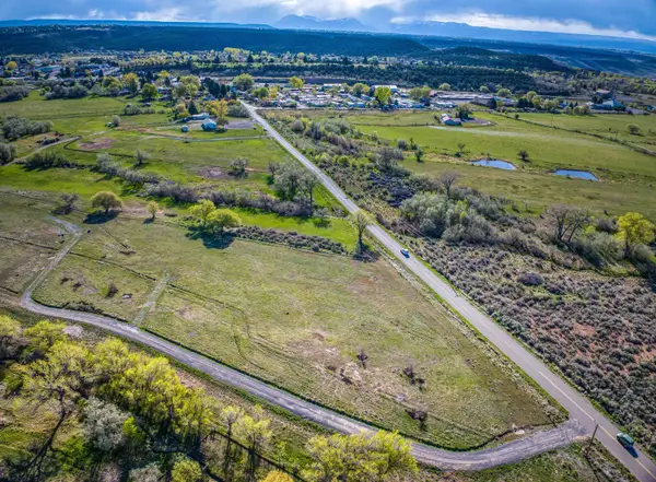 1266 SW 11th Avenue, Cedaredge, CO 81413