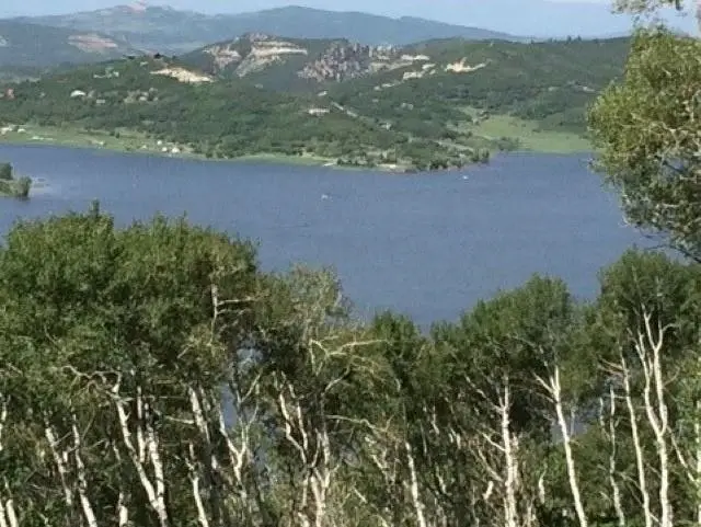Tbd Overlook Drive, Collbran, CO 81624 - #2