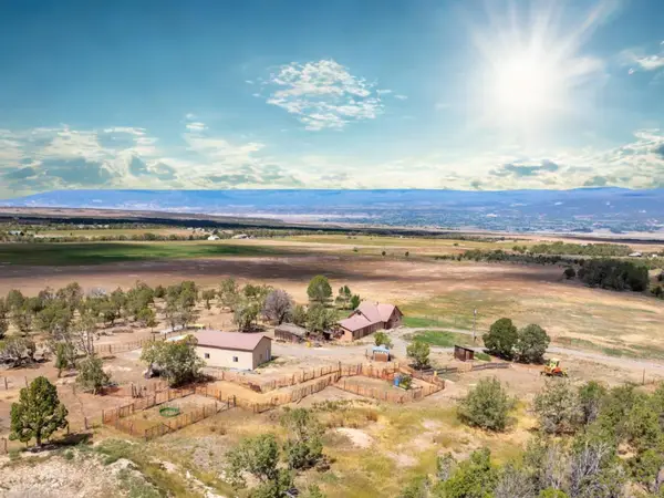 34706 Fruitland Mesa Road, Crawford, CO 81415