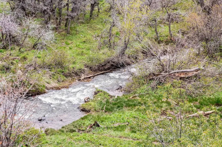 TBD County Road 80, Hayden, CO 81639 - #2