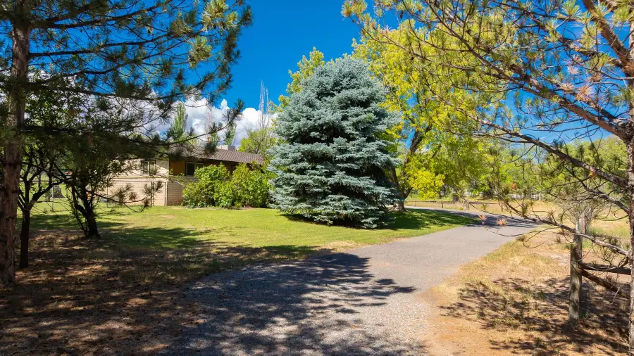 2943 Highway 50, Grand Junction, CO 81503 - #3