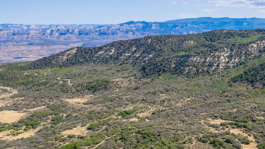 TBD Coon Creek Road, Mesa, CO 81643 - #2