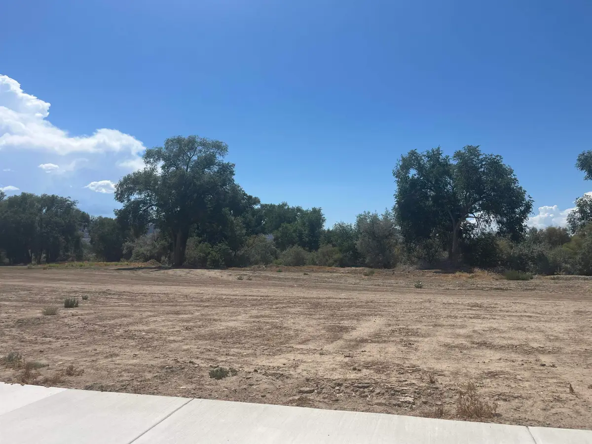 973 Hay Bale Court, Fruita, CO 81521 - #1