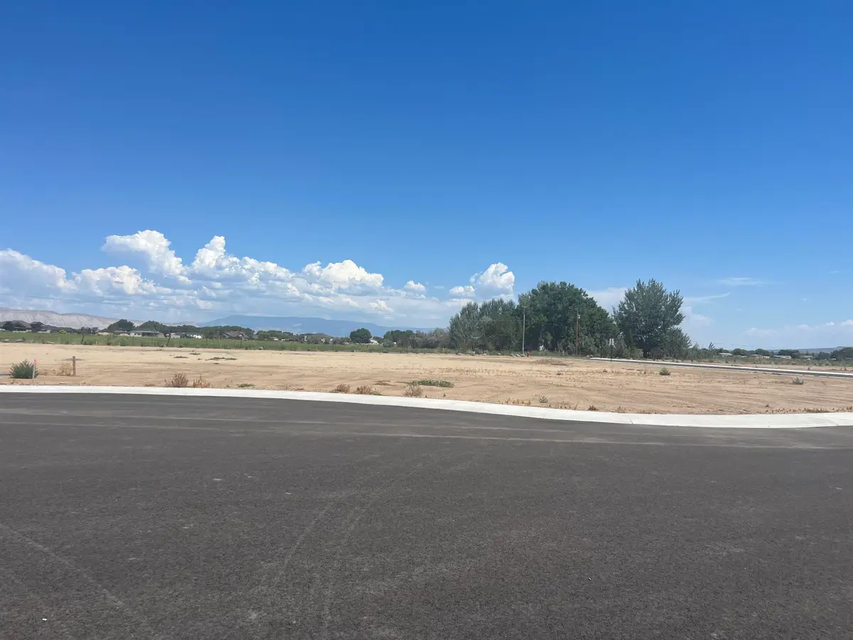 974 Hay Bale Court, Fruita, CO 81521 - #1