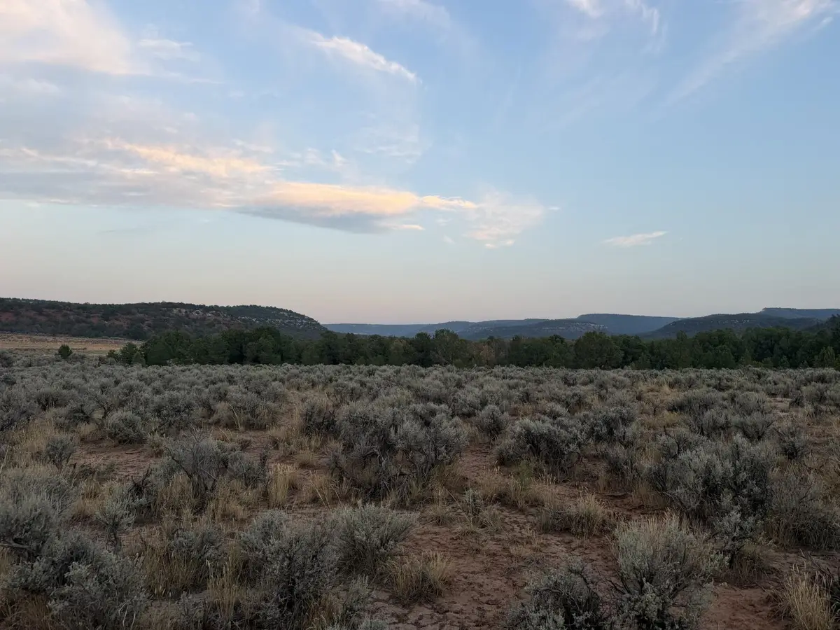 TBD S 9 8/10 Road, Glade Park, CO 81523 - #1