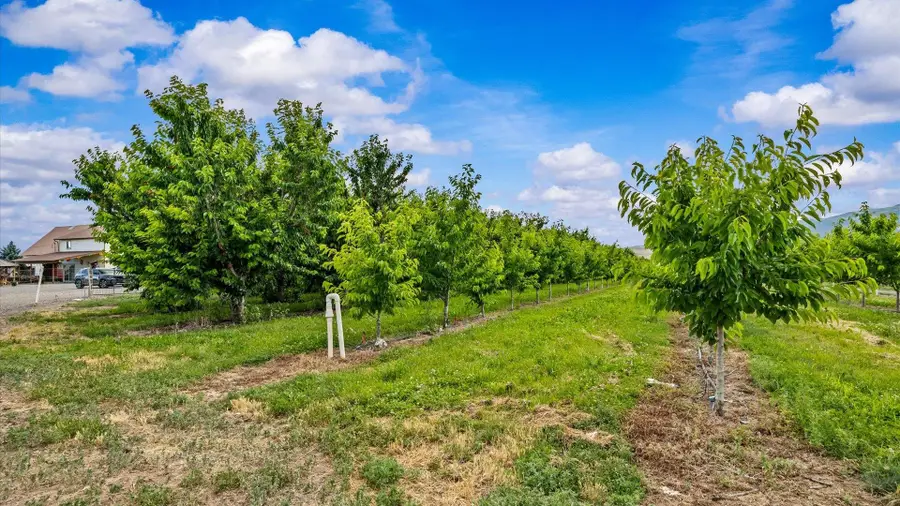 20977 Nowhere Road, Eckert, CO 81418 - #3