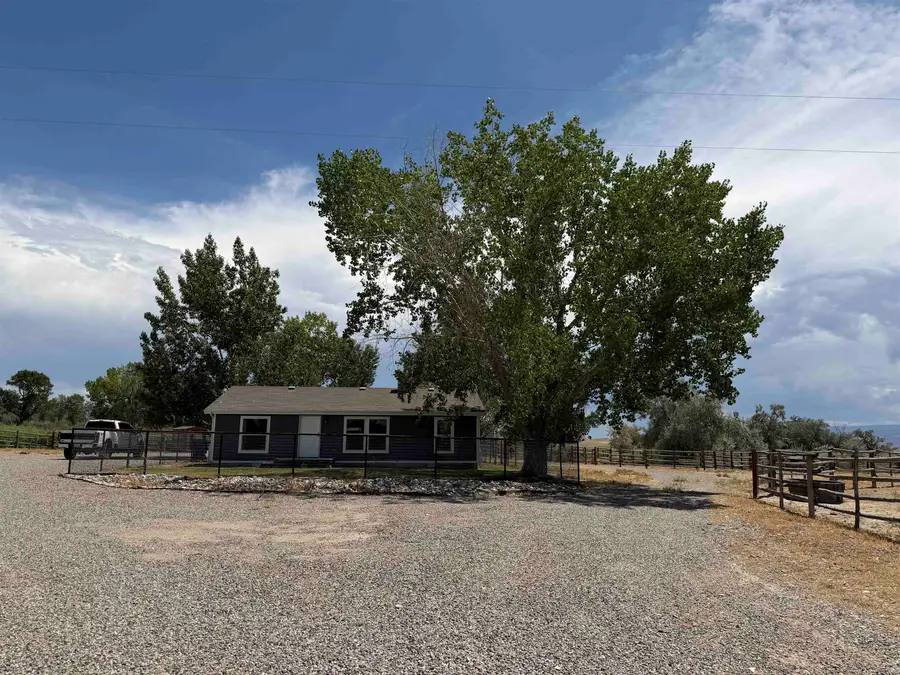 1668 18 Road, Fruita, CO 81521 - #2