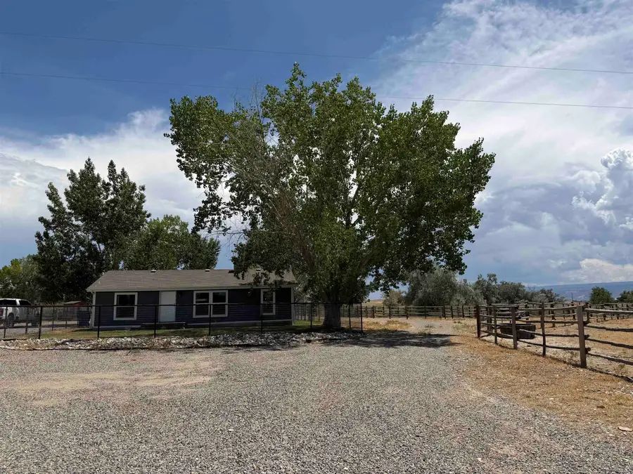 1668 18 Road, Fruita, CO 81521 - #3
