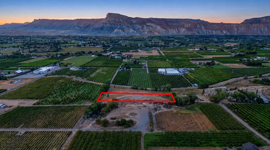 482 35 Road, Palisade, CO 81526 - #2