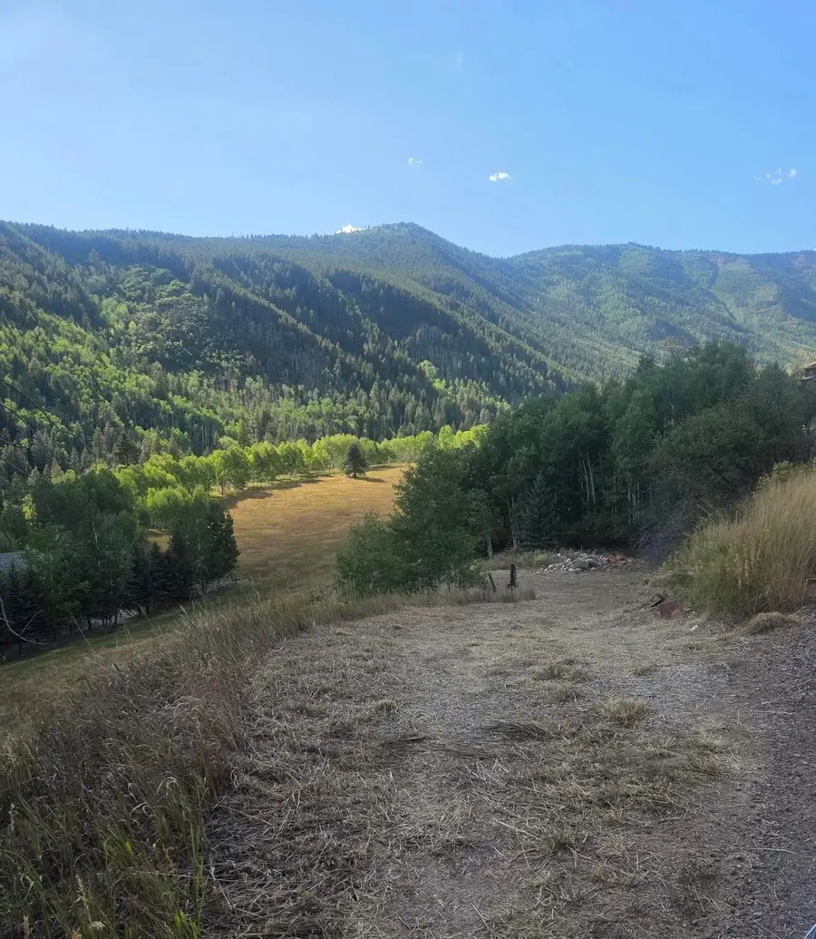 449 Mclaughlin Lane, Basalt, CO 81621 - #2