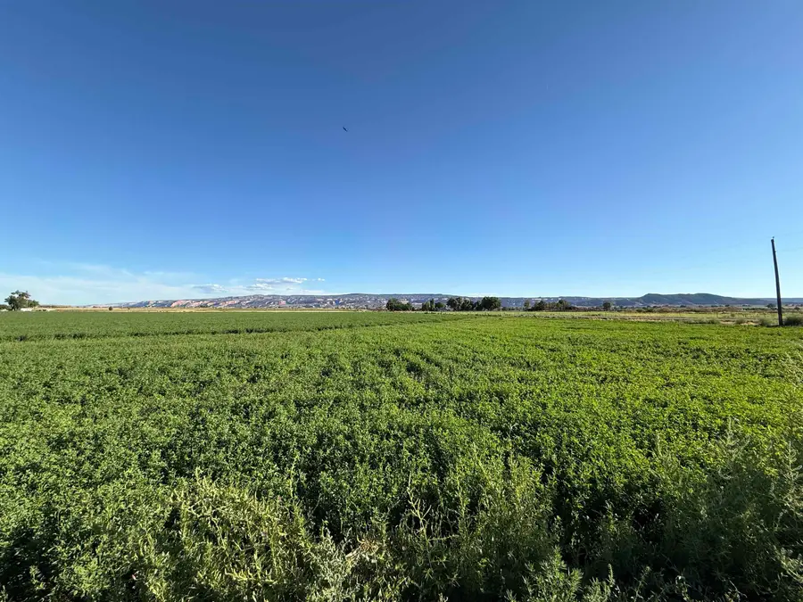 1402 O Road, Loma, CO 81524 - #3