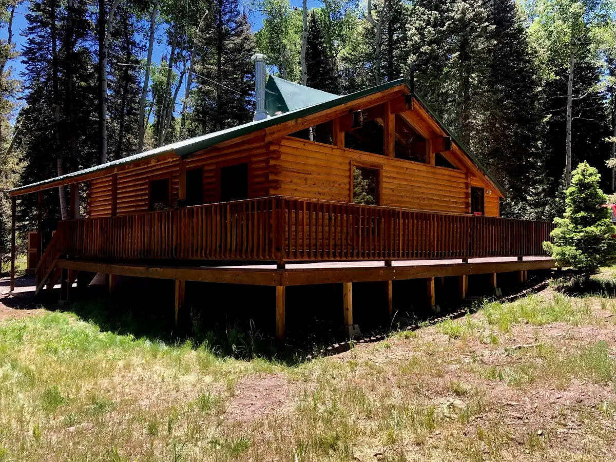 375 Balsam Road, Cimarron, CO 81220 - #1
