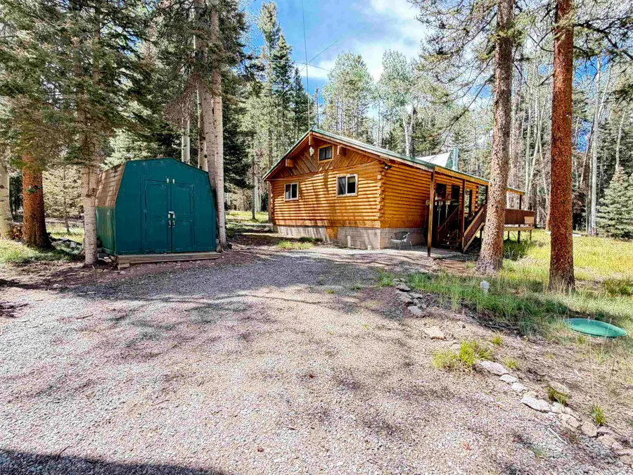 375 Balsam Road, Cimarron, CO 81220 - #2