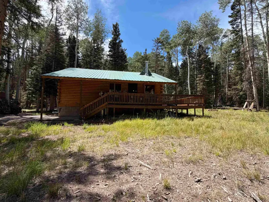 375 Balsam Road, Cimarron, CO 81220 - #3