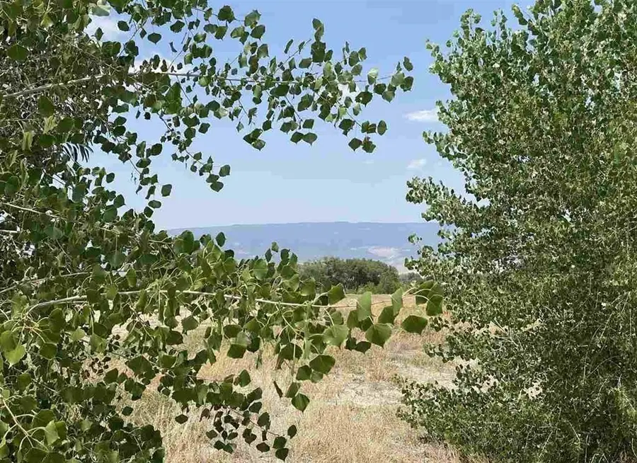 6120 Stirrup Creek Road, Delta, CO 81416 - #3