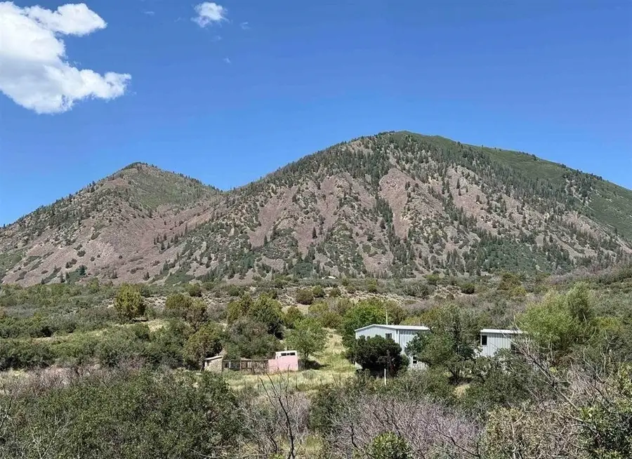 43867 Long Gulch Road, Crawford, CO 81415 - #3