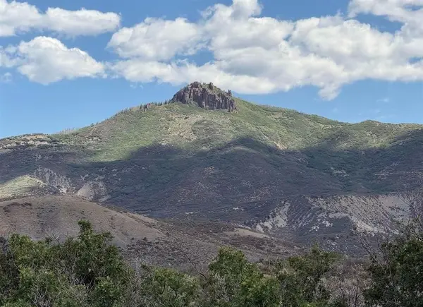 TBD 8250 Road, Crawford, CO 81415