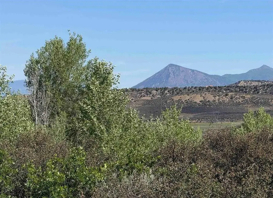 TBD 8250 Road, Crawford, CO 81415 - #2