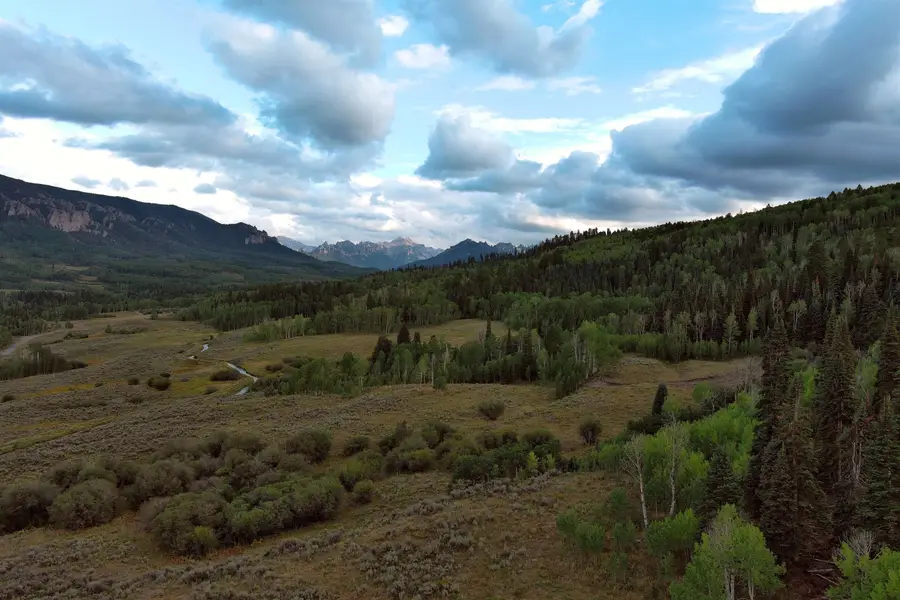 684 Falcon Way, Cimarron, CO 81220 - #2