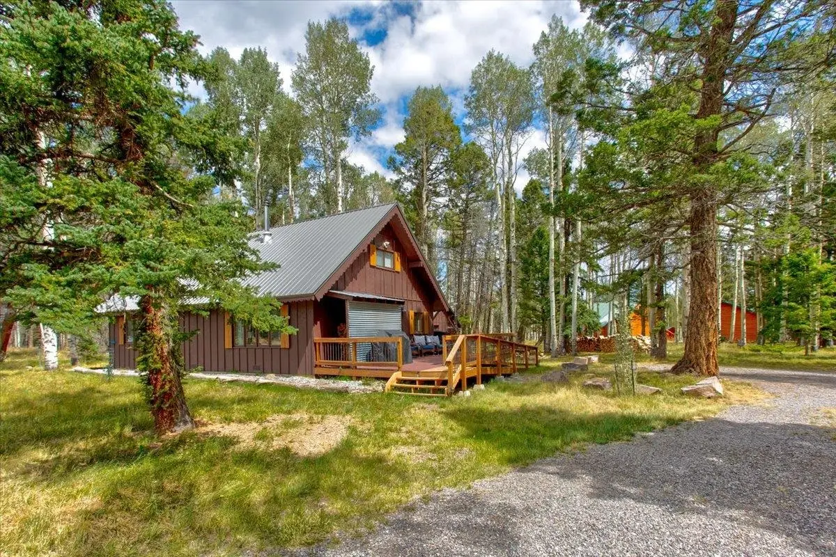 103 Aspen Drive, Cimarron, CO 81220 - #1