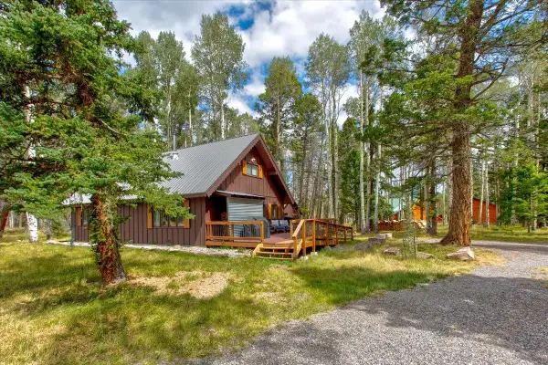 103 Aspen Drive, Cimarron, CO 81220