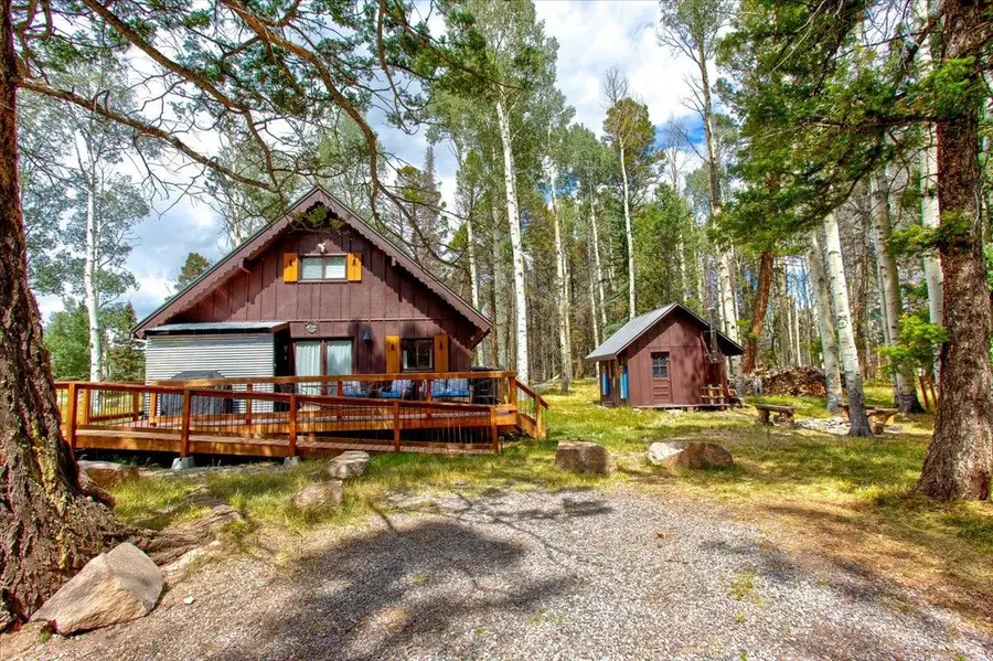 103 Aspen Drive, Cimarron, CO 81220 - #2