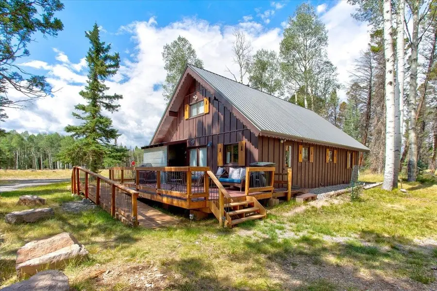 103 Aspen Drive, Cimarron, CO 81220 - #3