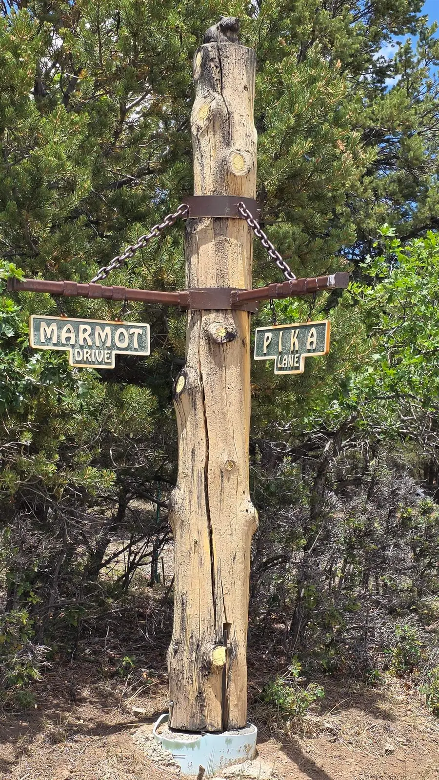 118 Pika Lane, Ridgway, CO 81432 - #2