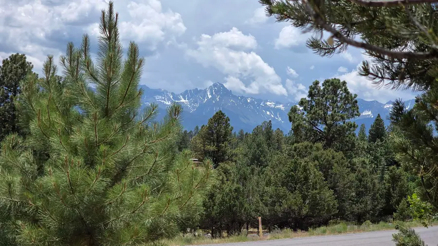 118 Pika Lane, Ridgway, CO 81432 - #3