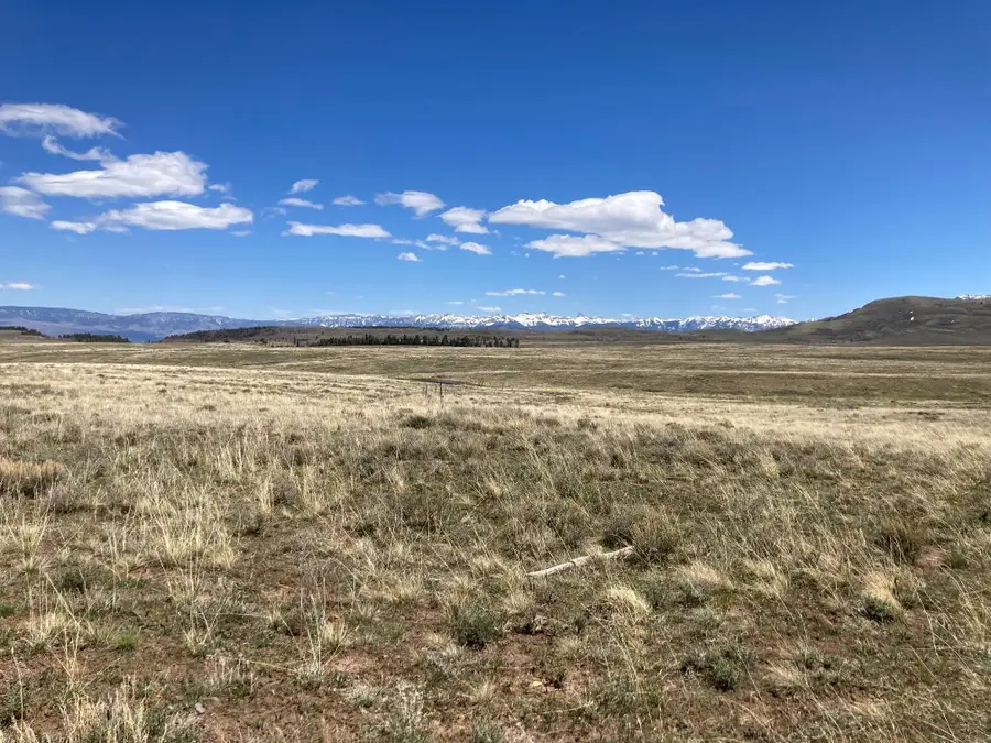 11 County Road 62x, Placerville, CO 81430 - #3