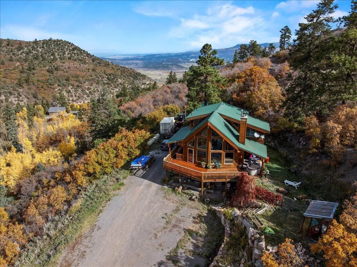 87 Which Way, Ridgway, CO 81432 - #1