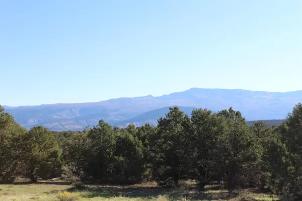 215 County Road 22a, Montrose, CO 81403
