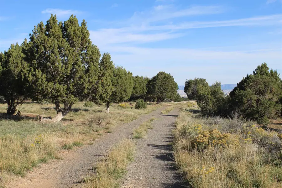 215 County Road 22a, Montrose, CO 81403 - #3