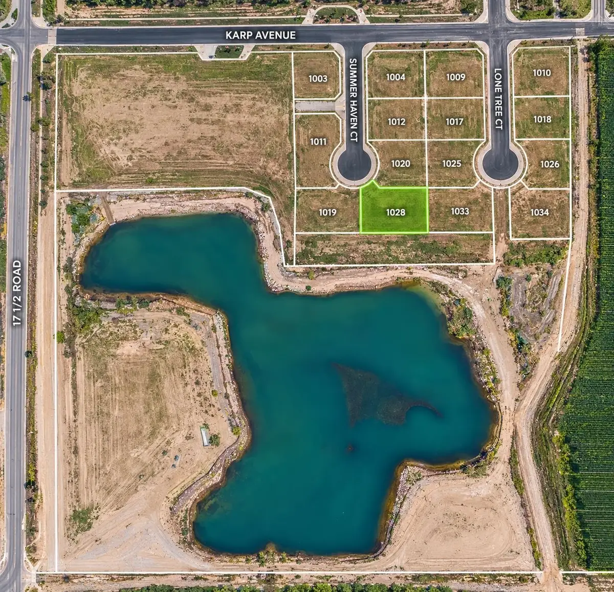 1028 Summer Haven Court, Fruita, CO 81521 - #1