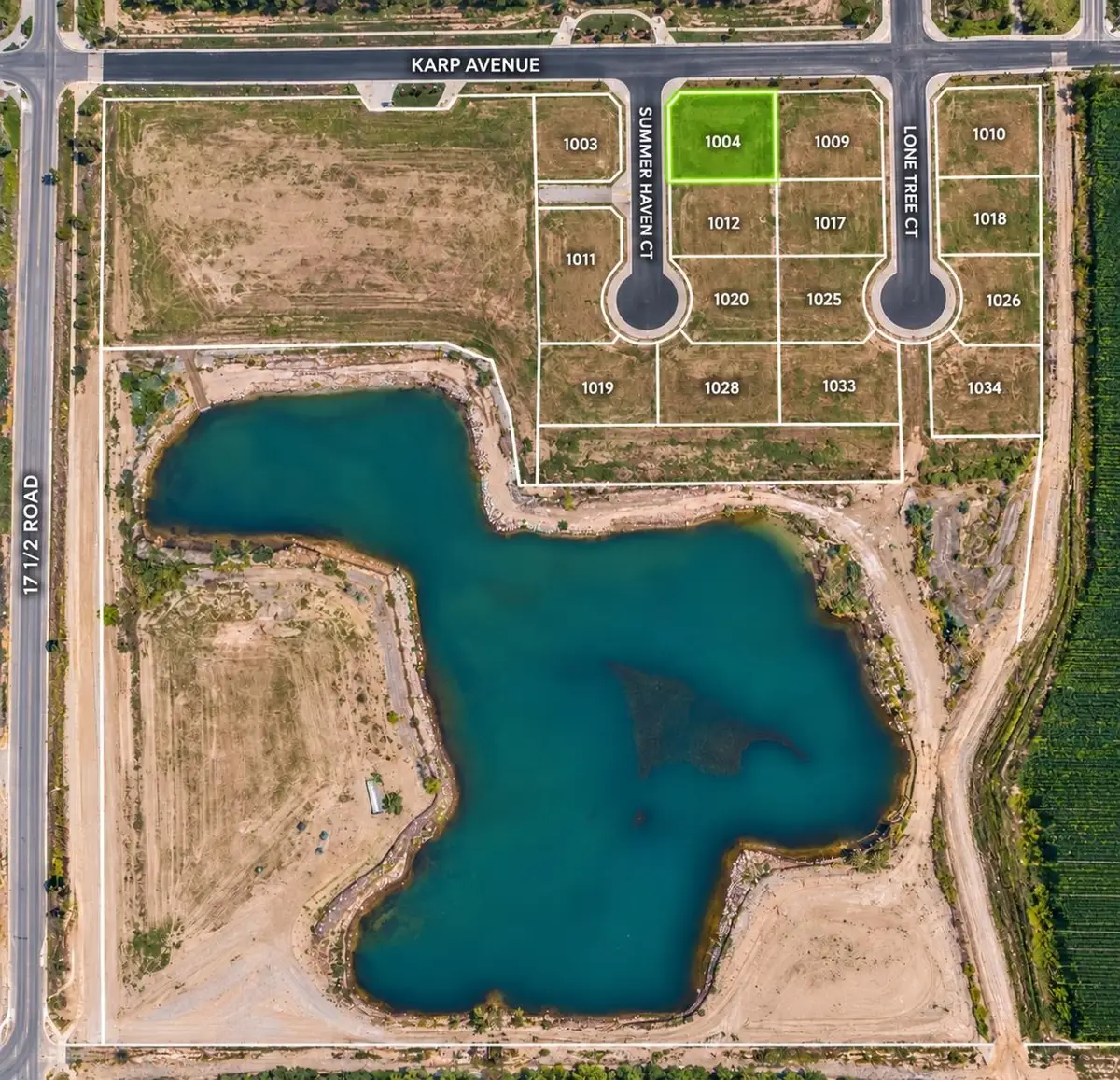 1028 Summer Haven Court, Fruita, CO 81521 - #1