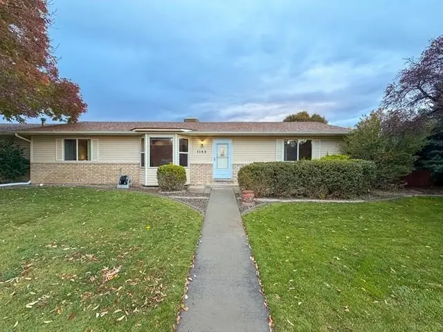 1143 Sunflower Avenue, Fruita, CO 81521 - #1
